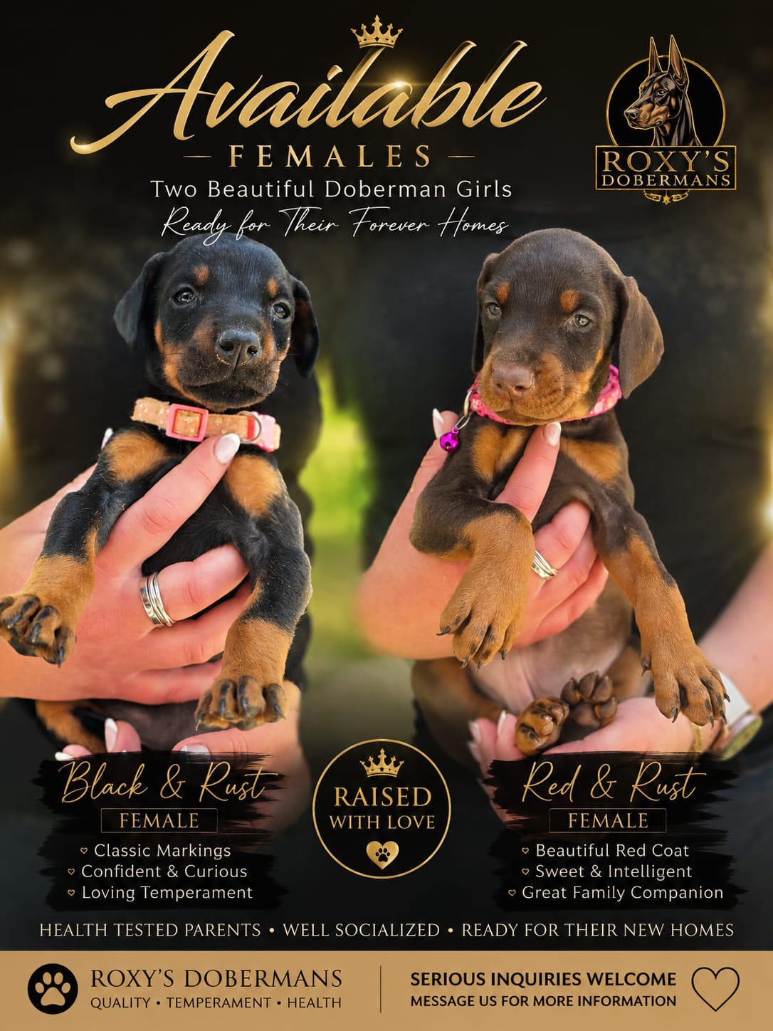 Available Females